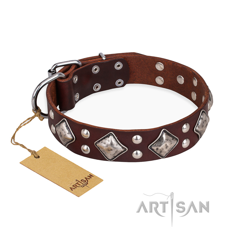 "King of Grace" FDT Artisan Stylish Leather Belgian Malinois Collar with Old Silver-Like Plated Decorations