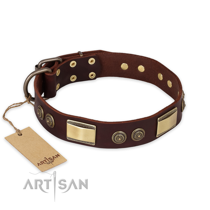"Golden Stones" FDT Artisan Brown Leather Belgian Malinois Collar with Old Bronze Look Plates and Circles - Click Image to Close