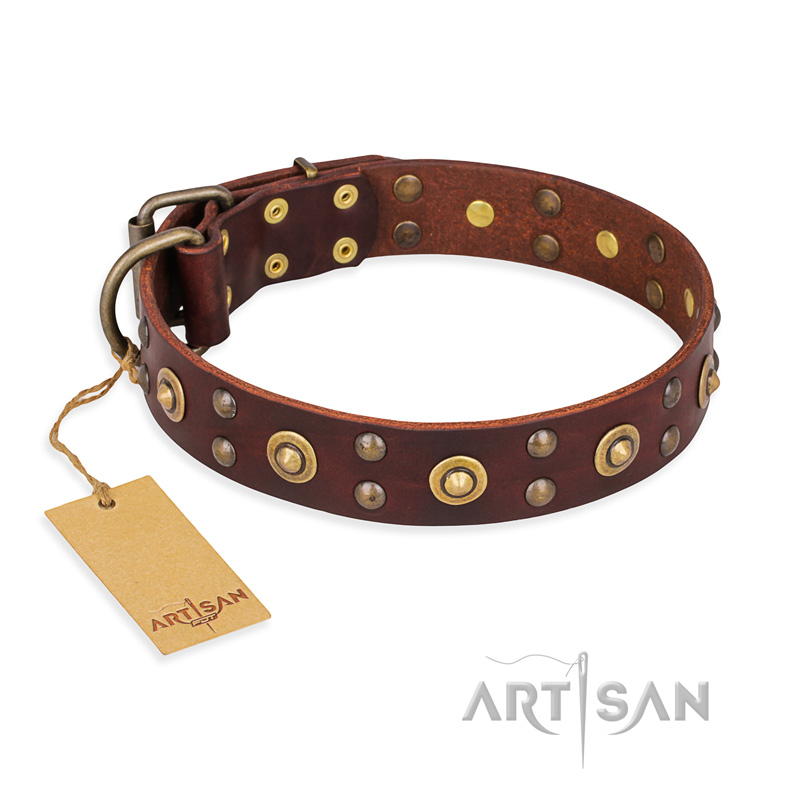 "Caprice of Fashion" FDT Artisan Brown Leather Belgian Malinois Collar with Round Decorations - Click Image to Close