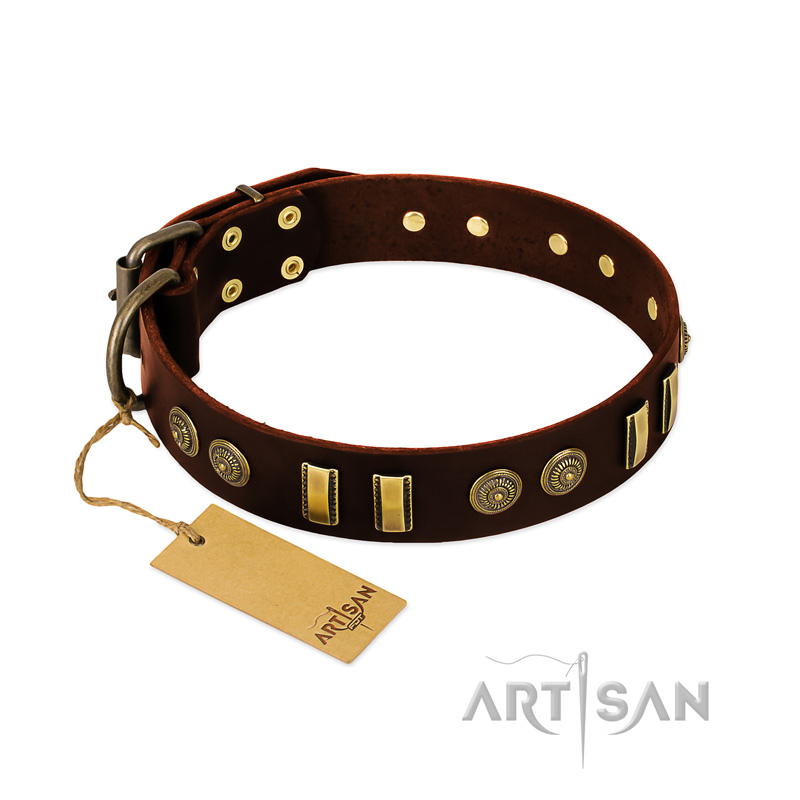 "Golden Elegance" FDT Artisan Brown Leather Belgian Malinois Collar with Old Bronze-like Decorations