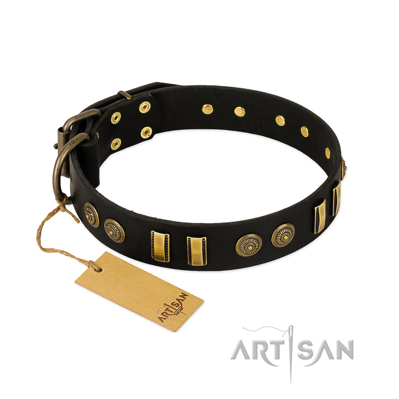 "Simple Elegance" FDT Artisan Black Leather Belgian Malinois Collar with Old Bronze-like Plates and Circles