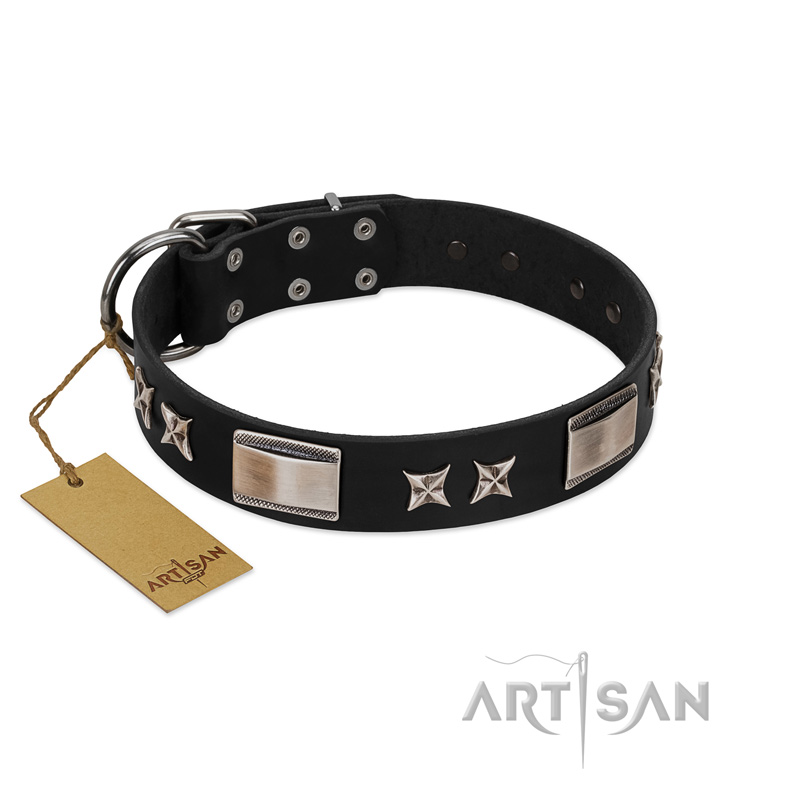 "Pitch Dark" FDT Artisan Black Leather Belgian Malinois Collar with Stars and Plates