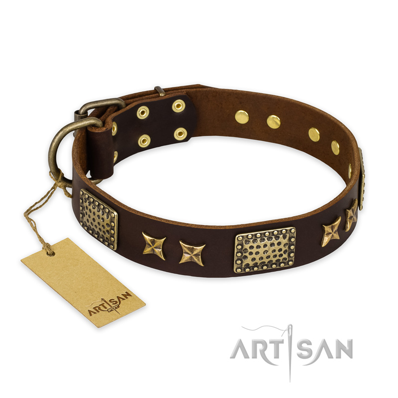 "Sparkling Bronze" FDT Artisan Genuine Leather Belgian Malinois Collar with Bronze Look Stars and Plates - Click Image to Close
