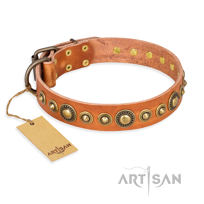 "Feast of Luxury" FDT Artisan Tan Leather Belgian Malinois Collar with Old Bronze Look Circles