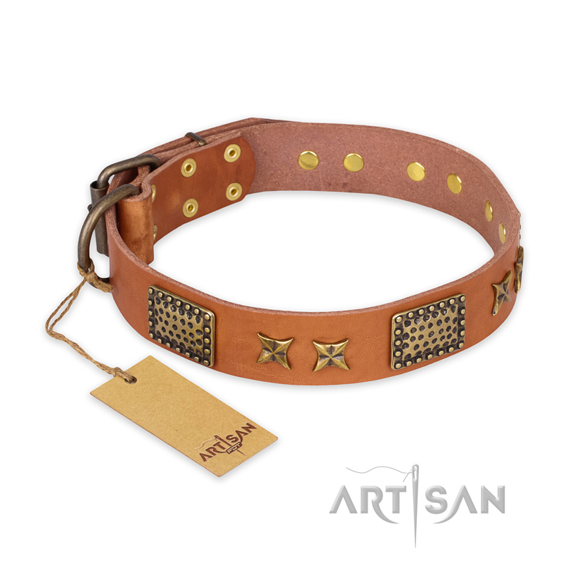 "Cosmic Traveller" FDT Artisan Adorned Leather Belgian Malinois Collar with Old Bronze-Plated Stars and Plates - Click Image to Close