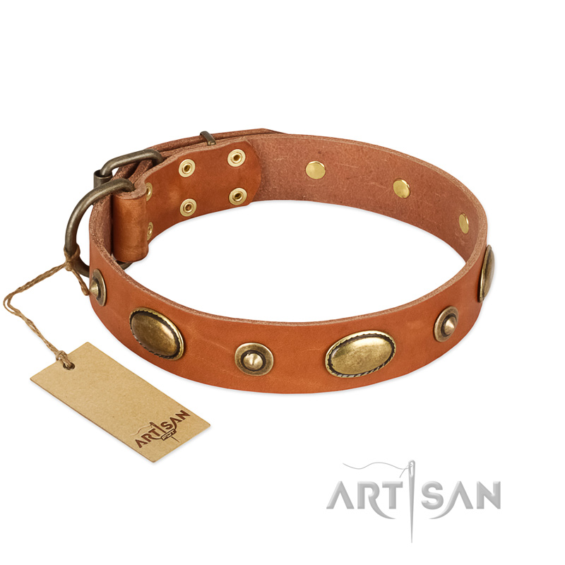 "Visual Magic" FDT Artisan Tan Leather Belgian Malinois Collar for Daily Activities - Click Image to Close