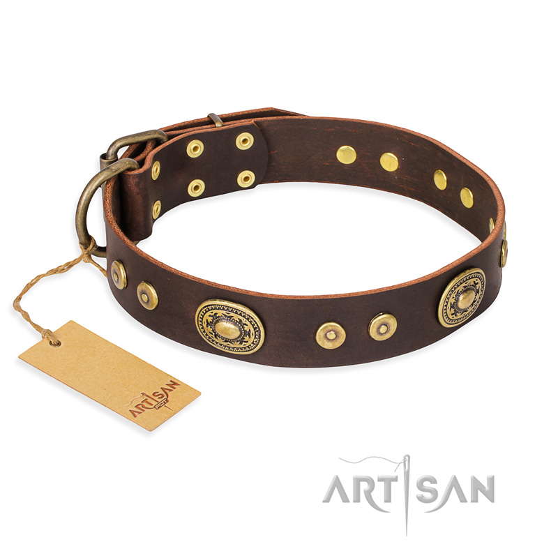 "One-of-a-Kind" FDT Artisan Handmade Decorated Brown Leather Belgian Malinois Collar