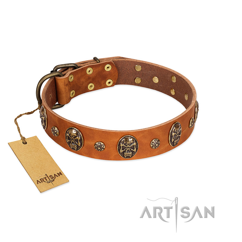 "Rockstar" FDT Artisan Tan Leather Belgian Malinois Collar with Engraved Studs and Medallions
