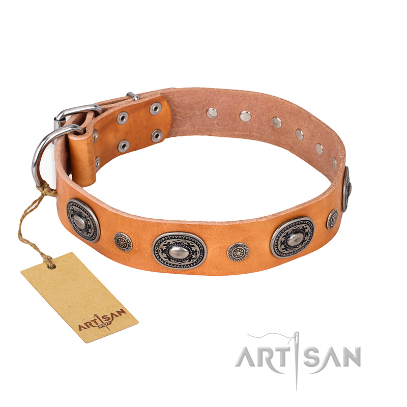 "Twinkle Twinkle" FDT Artisan Incredible Studded Tan Leather Belgian Malinois Collar