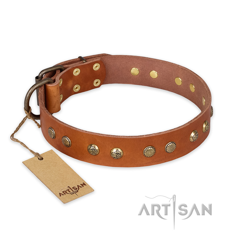 "Spring Flavor" FDT Artisan Adorned Leather Belgian Malinois Collar with Old Bronze-Plated Engraved Studs