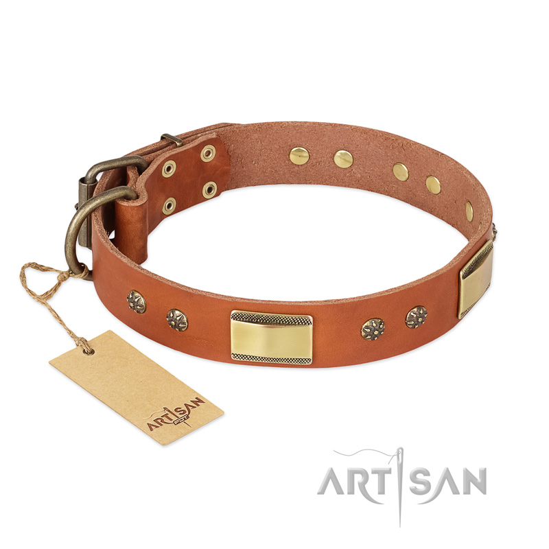 "Enchanting Spectacle" FDT Artisan Tan Leather Belgian Malinois Collar with Old Bronze Look Plates and Round Studs