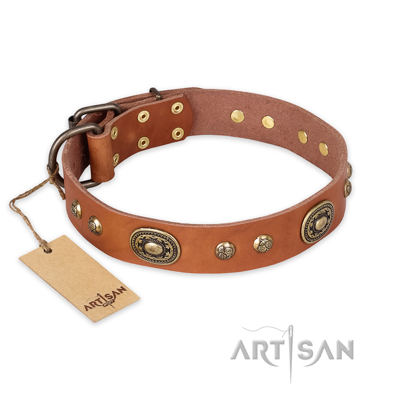 "Stunning Dress" FDT Artisan Tan Leather Belgian Malinois Collar with Old Bronze Look Plates and Studs