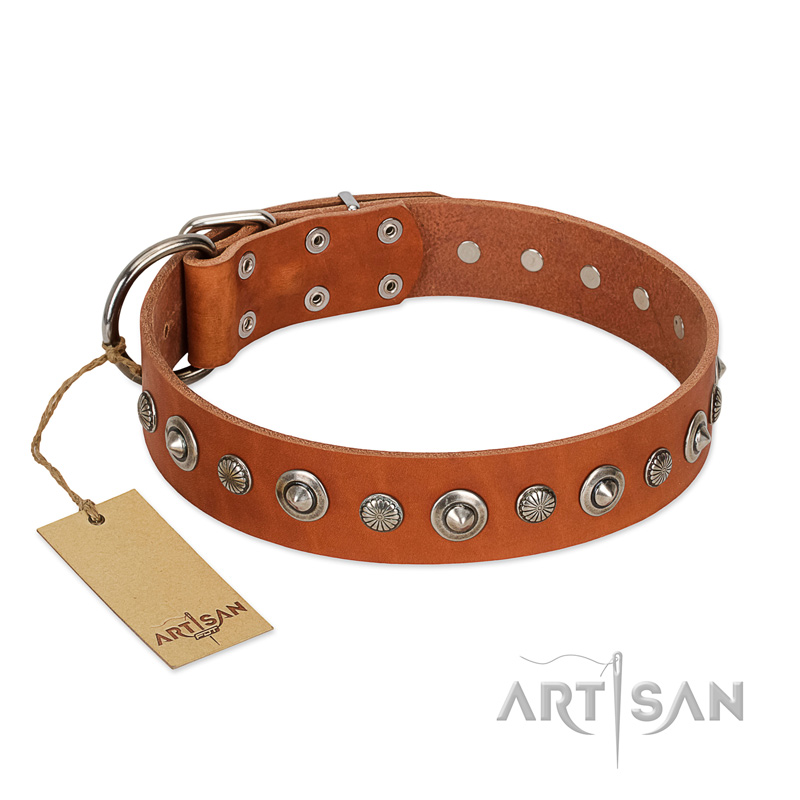 "Gorgeous Roundie" FDT Artisan Tan Leather Belgian Malinois Collar with Chrome-plated Circles