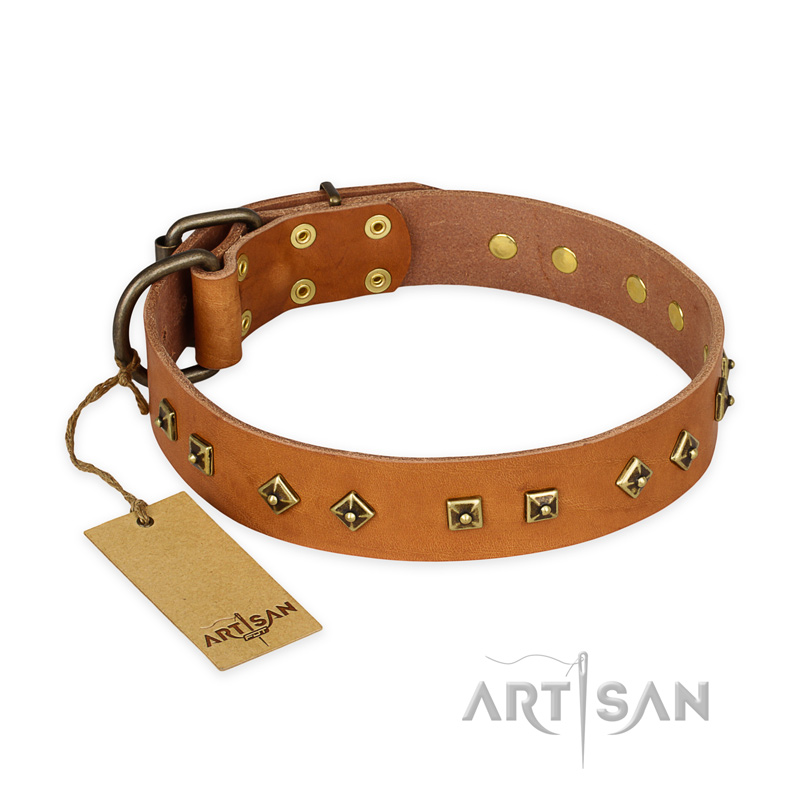 "Autumn Story" FDT Artisan Leather Belgian Malinois Collar with Old Bronze Look Studs - Click Image to Close
