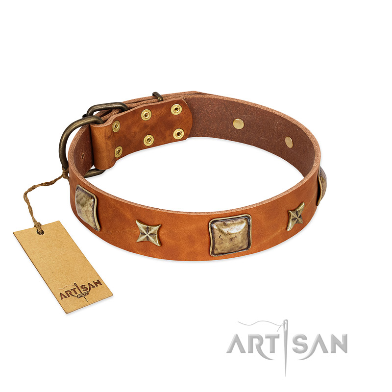 "Celtic Tunes" FDT Artisan Tan Leather Belgian Malinois Collar Adorned with Stars and Squares