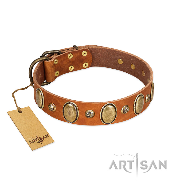"Venus Breath" FDT Artisan Tan Leather Belgian Malinois Collar with Vintage Looking Oval and Round Studs