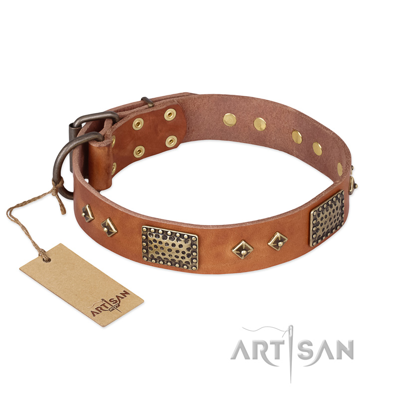 "Catchy Look" FDT Artisan Decorated Tan Leather Belgian Malinois Collar