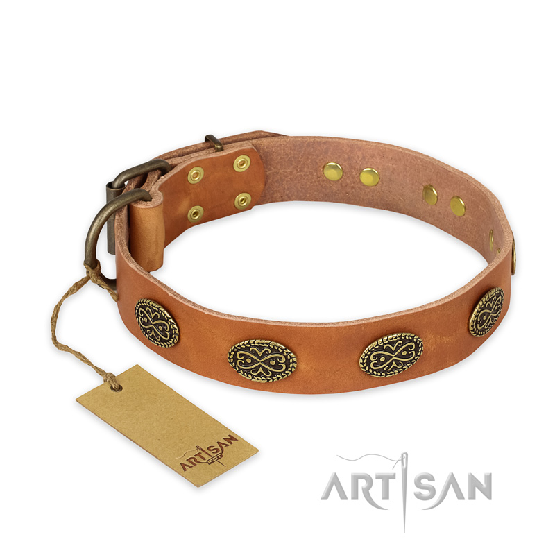 "Magic Amulet" FDT Artisan Tan Leather Belgian Malinois Collar with Oval Studs - Click Image to Close
