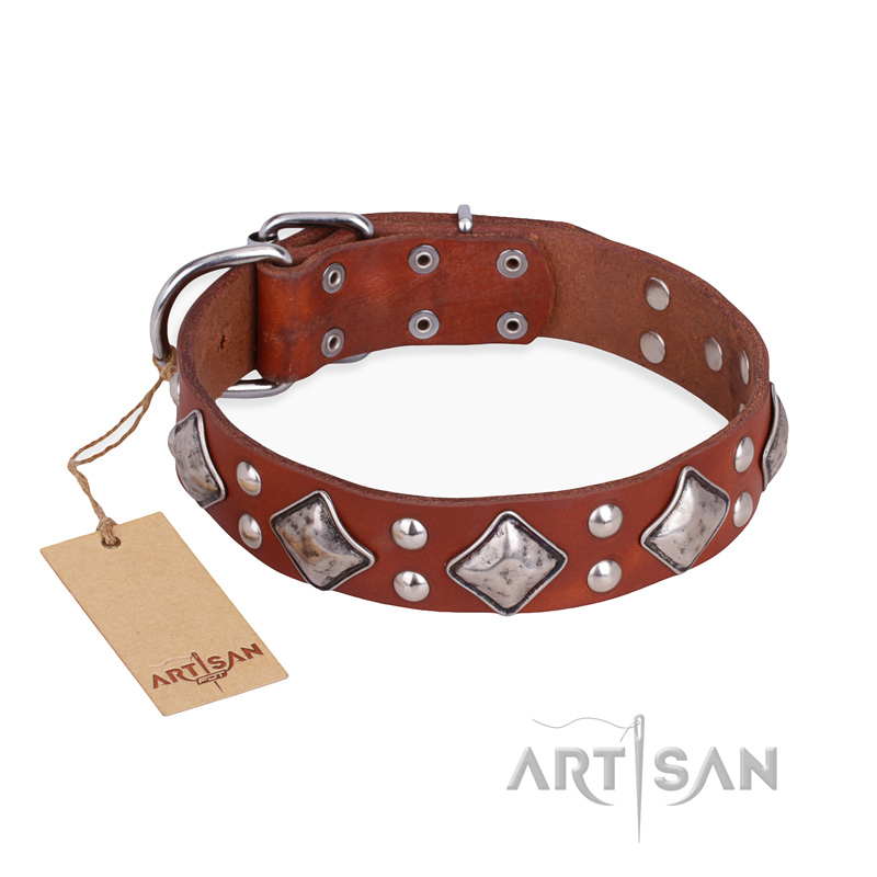 "Magic Squares" FDT Artisan Tan Leather Belgian Malinois Collar with Silver-like Decor