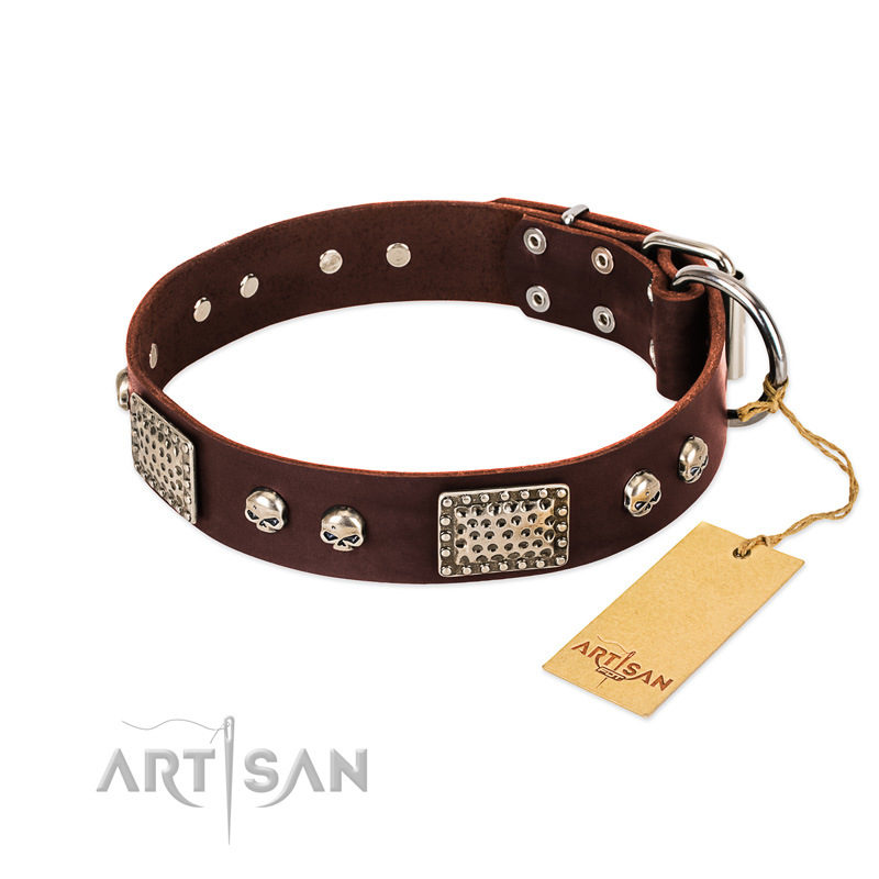 "Pirate Skull" FDT Artisan Brown Leather Belgian Malinois Collar with Old Silver Look Plates and Skulls