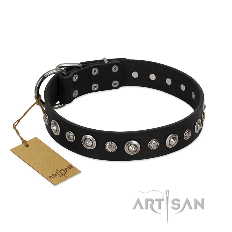 "Genteel Charm" FDT Artisan Black Leather Belgian Malinois Collar with Silver-like Round Conchos
