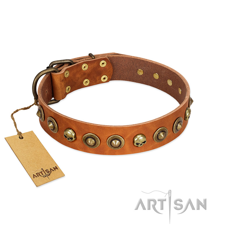 "Prez of the Pack" FDT Artisan Tan Leather Belgian Malinois Collar with Skulls and Brooches