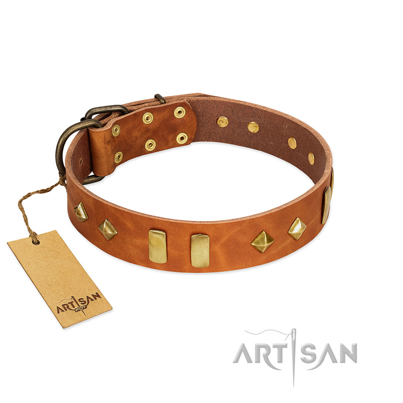 "Woofy Dawn" FDT Artisan Tan Leather Belgian Malinois Collar with Plates and Rhombs