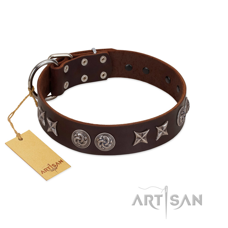 "Silver Sunset" Designer Handmade FDT Artisan Brown Leather Belgian Malinois Collar