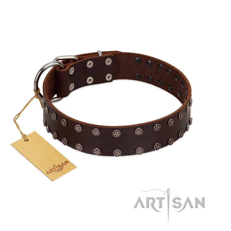 "Star Party" Handmade FDT Artisan Brown Leather Belgian Malinois Collar with Silver-Like Studs