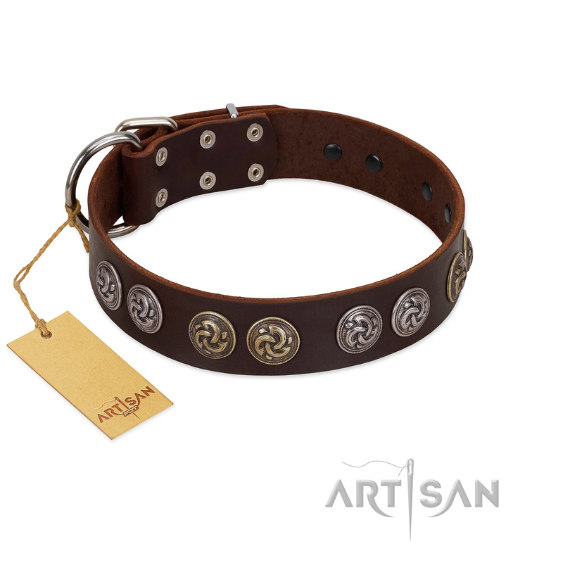 "Treasure Hunter" FDT Artisan Brown Leather Belgian Malinois Collar with Old-Bronze-like and Silvery Medallions
