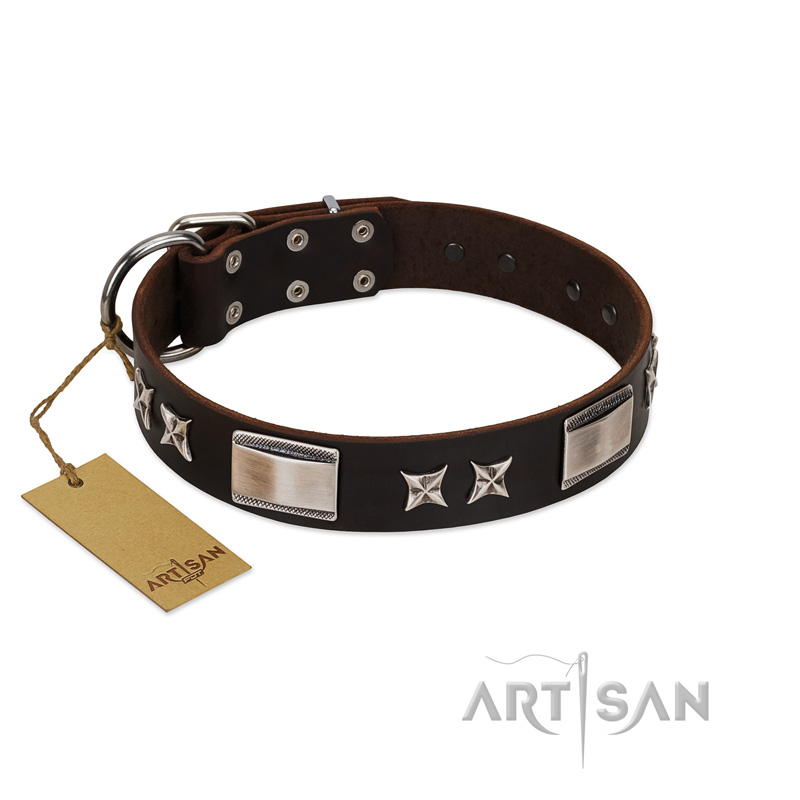 "Satin Beauts" FDT Artisan Brown Leather Belgian Malinois Collar with Stars and Plates