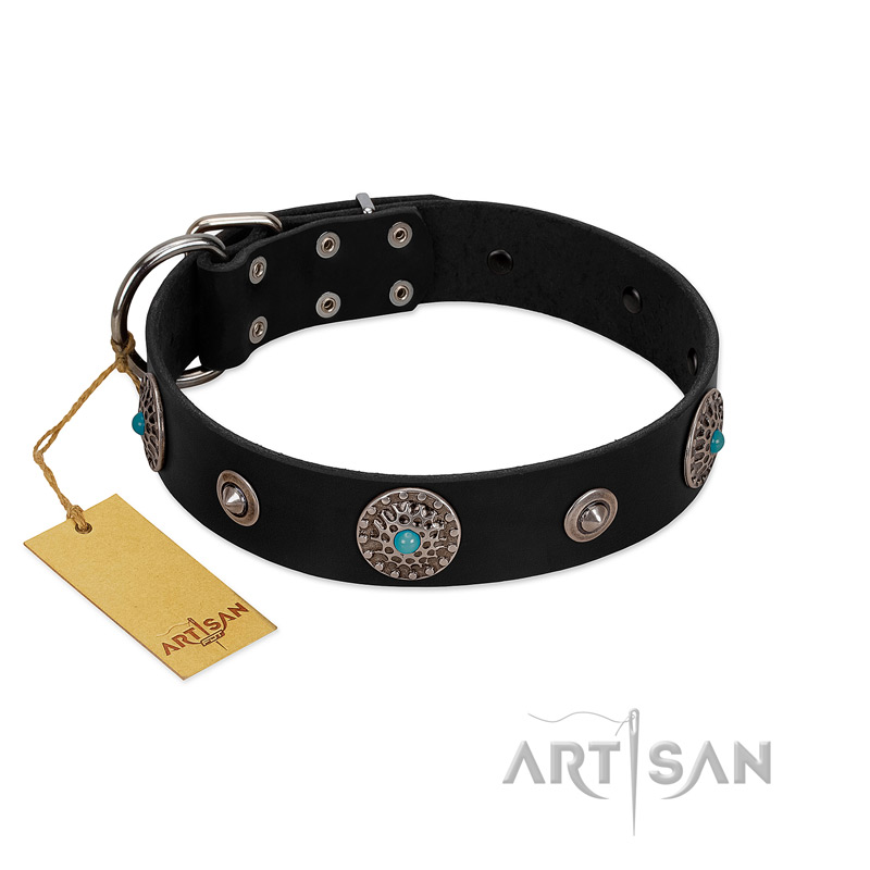 "Blue Gems" FDT Artisan Black Leather Belgian Malinois Collar with Chrome Plated Studs and Conchos