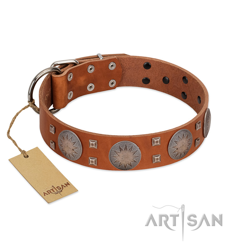 "Sun Rise Noon" FDT Artisan Tan Leather Belgian Malinois Collar with Unique Design