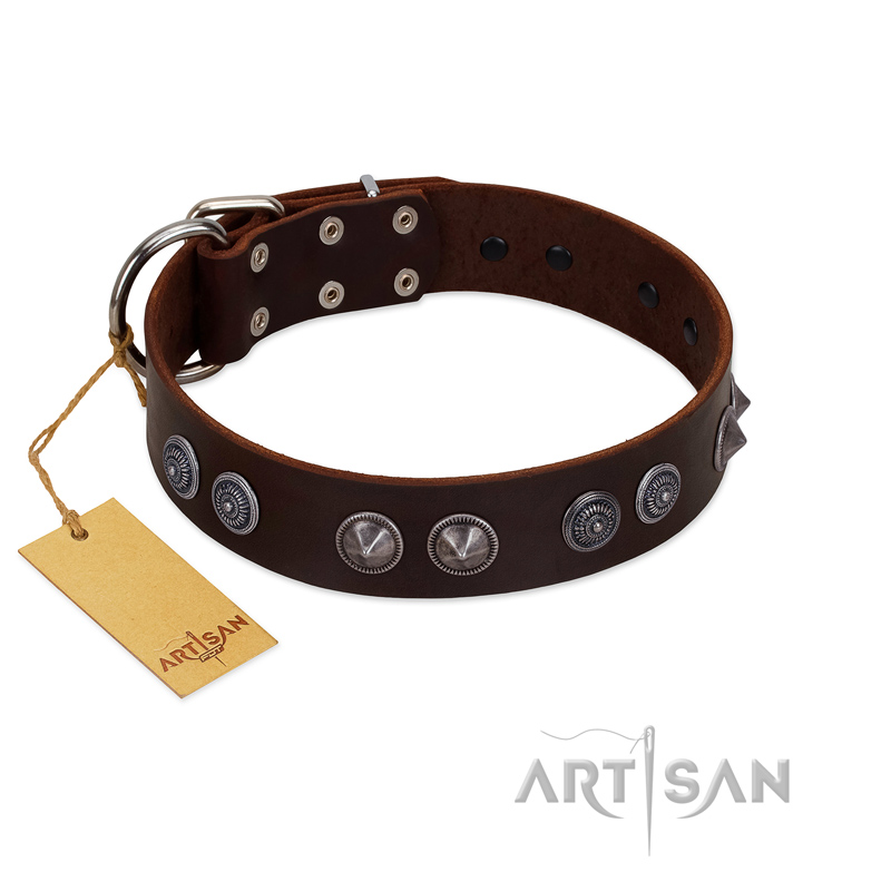 "King Arthur" FDT Artisan Brown Leather Belgian Malinois Collar with Spiky Plates - Click Image to Close