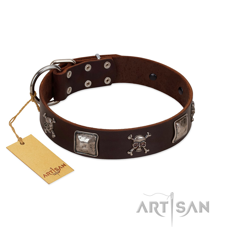 "Nut-Brown Finery" Embellished FDT Artisan Brown Leather Belgian Malinois Collar with Chrome Plated Crossbones and Plates