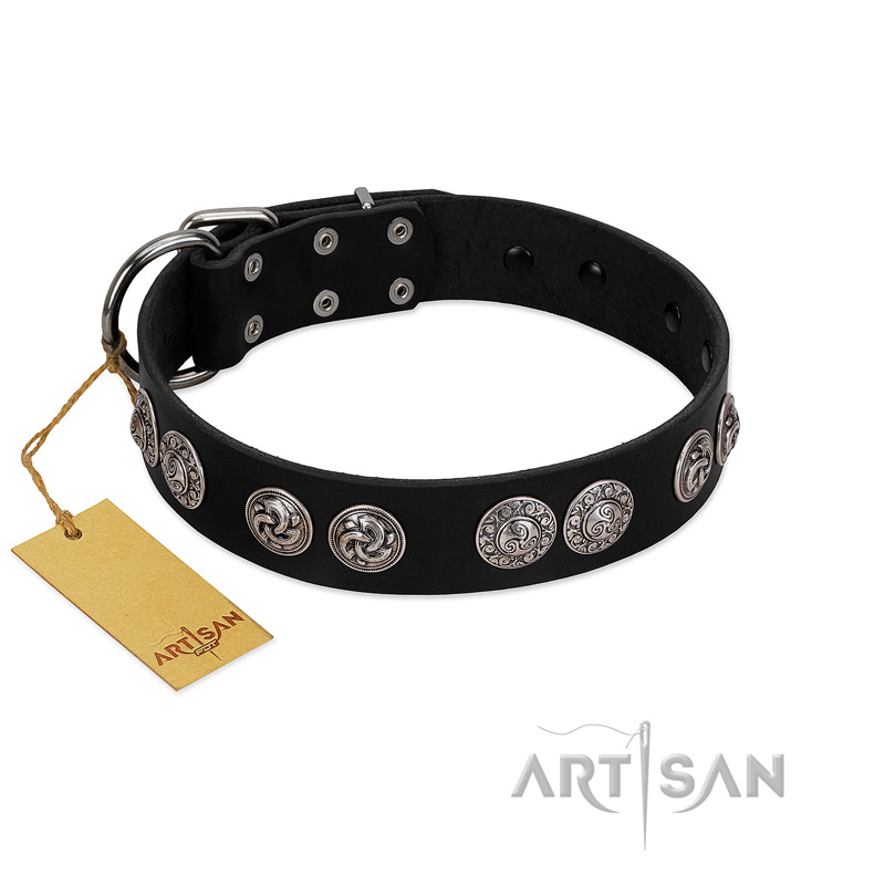 "Magic Amulete" Handcrafted FDT Artisan Black Leather Belgian Malinois Collar with Chrome-Plated Shields