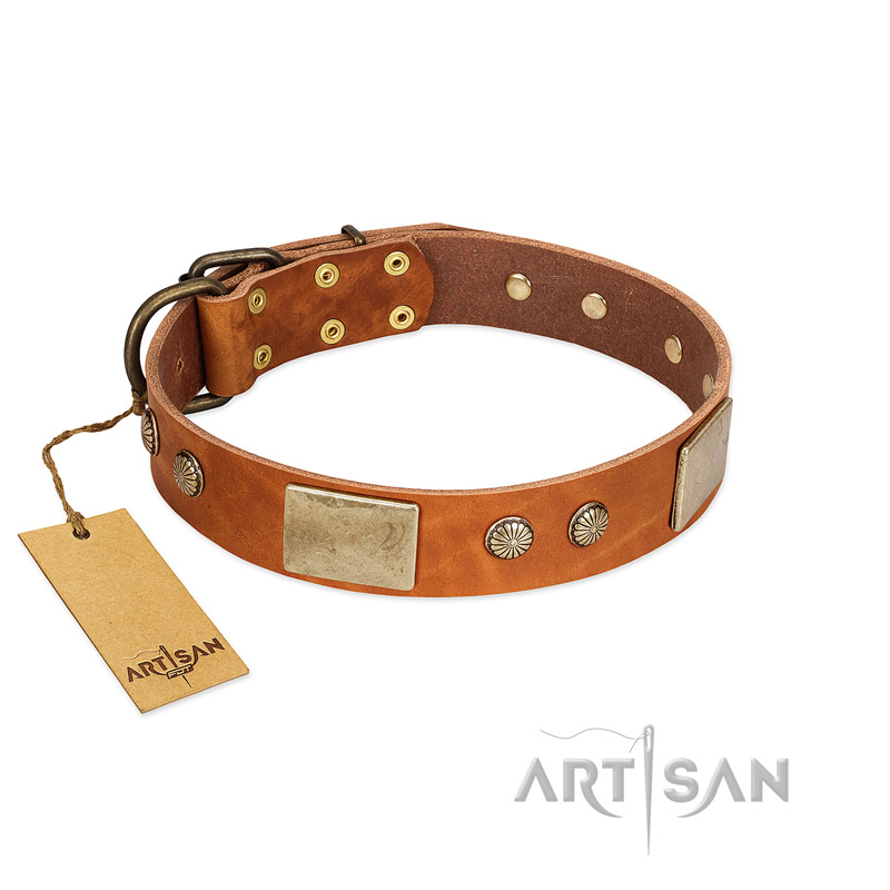 "Ancient Treasures" FDT Artisan Tan Leather Belgian Malinois Collar with Antiqued Plates and Studs
