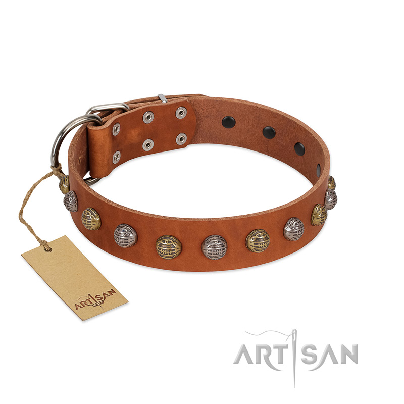 "Dogue-Vogue" FDT Artisan Tan Leather Belgian Malinois Collar with Engraved Chrome-plated Studs
