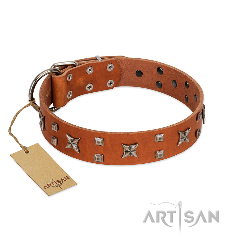 "Faraway Galaxy" FDT Artisan Tan Leather Belgian Malinois Collar Adorned with Stars and Squares