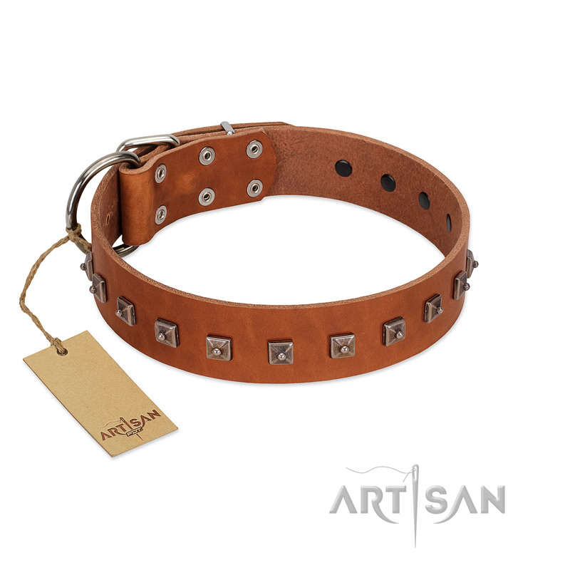 "Guard of Honour " Designer FDT Artisan Tan Leather Belgian Malinois Collar with Small Dotted Pyramids - Click Image to Close