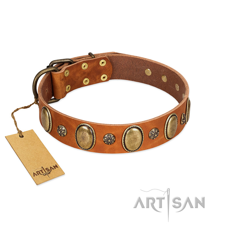 "Total Grace" FDT Artisan Brown Leather Dog Collar with Eye-catchy Ovals and Small Studs - Click Image to Close