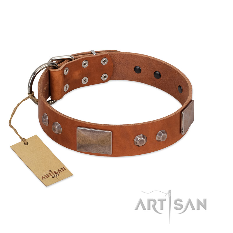 "Great Obelisk" Handcrafted FDT Artisan Tan Leather Belgian Malinois Collar with Large Plates and Pyramids