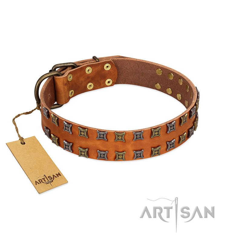"Terra-cotta" FDT Artisan Tan Leather Belgian Malinois Collar with Two Rows of Studs