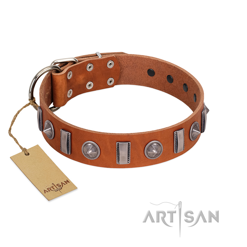 "Luxurious Necklace" FDT Artisan Tan Leather Belgian Malinois Collar with Silver-Like Adornments