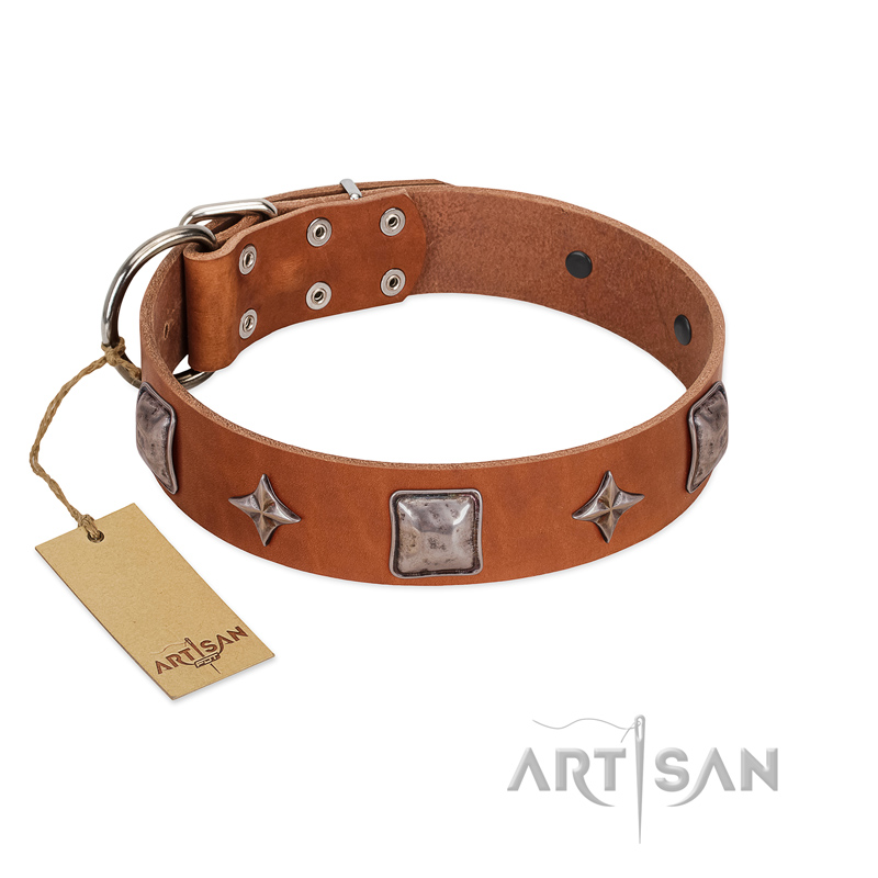 "Lucky Star" FDT Artisan Tan Leather Belgian Malinois Collar with Silver-Like Embellishments