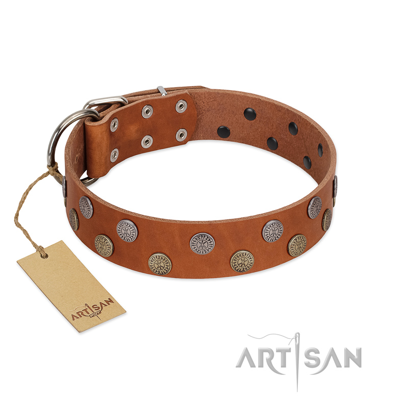 "Ancient Symbol" Trendy FDT Artisan Tan Leather Belgian Malinois Collar with Silver- and Gold-Like Studs