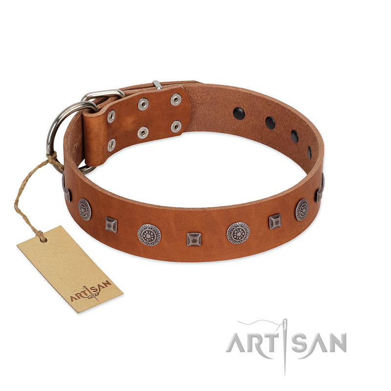 "Sweet Caramel" Designer FDT Artisan Tan Leather Belgian Malinois Collar