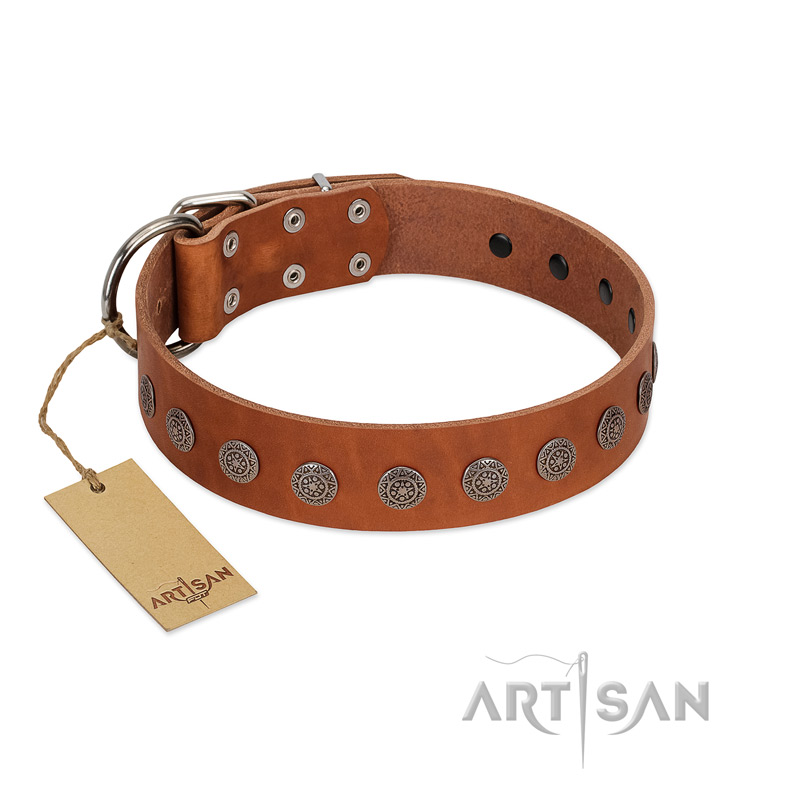 "Lucky Star" Handmade FDT Artisan Designer Tan Leather Belgian Malinois Collar with Round Plates