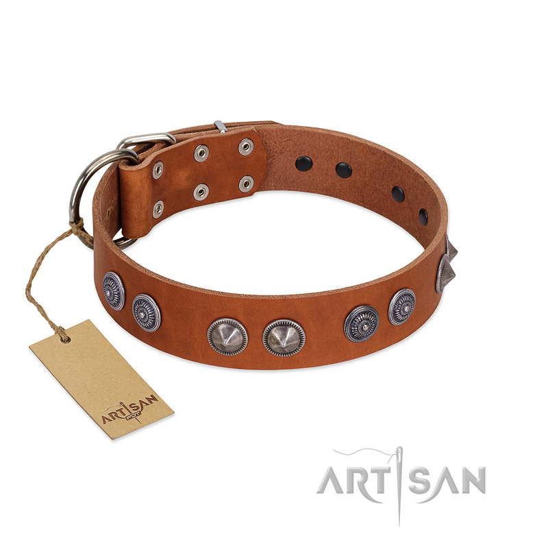 "Silver Necklace" Incredible FDT Artisan Tan Leather Belgian Malinois Colar with Silver-Like Adornments