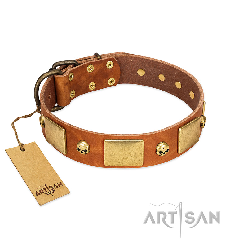 "Mutt The Daredevil" FDT Artisan Tan Leather Belgian Malinois Collar with Old Bronze-like Skulls and Plates